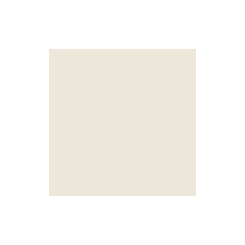 Antique White Paint Sample